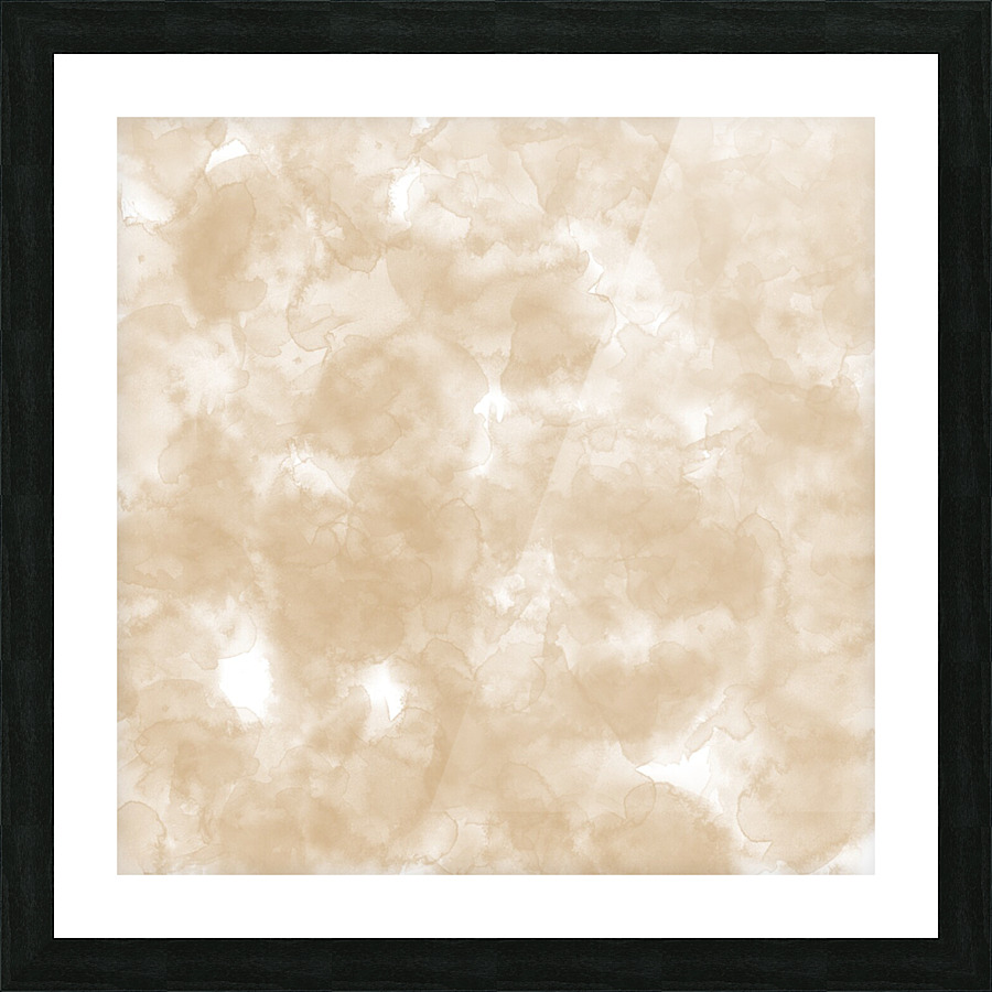 Tan Picture Frame print