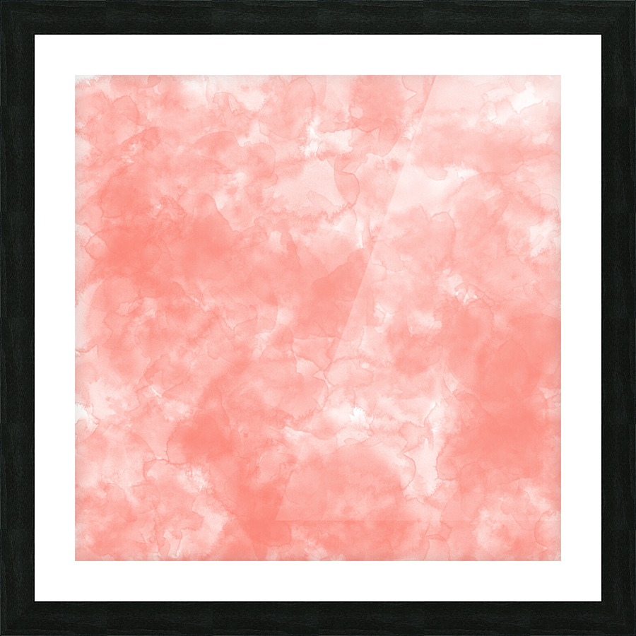 Salmon Picture Frame print