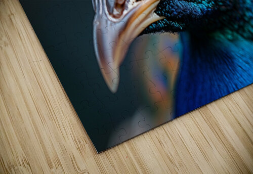 Gorgeous Peacock rizu_designs puzzle