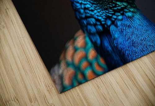 Delightful Peacock rizu_designs puzzle