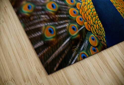 Showy Peacock rizu_designs puzzle