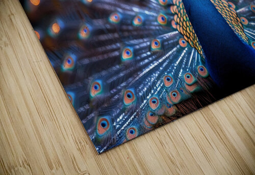 Ethereal Peacock rizu_designs puzzle
