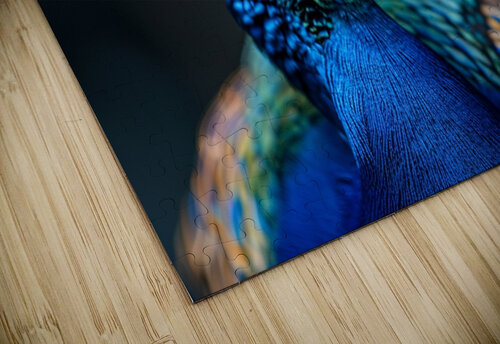 Grand Peacock rizu_designs puzzle