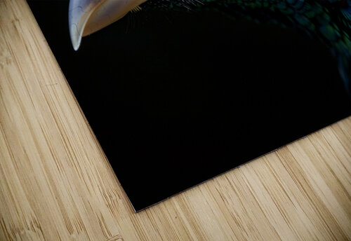 Fantastic Peacock rizu_designs puzzle