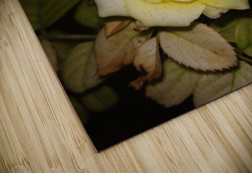 YELLOW ROSE rizu_designs puzzle