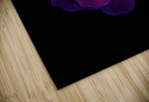 Shining Rose rizu_designs puzzle