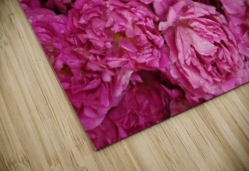 ROSE GARDEN   rizu_designs puzzle