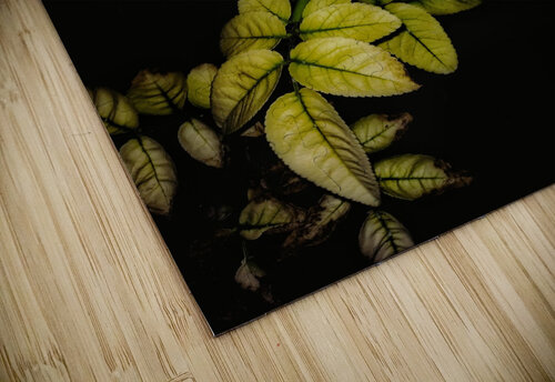 Dew Drops Leaves rizu_designs puzzle
