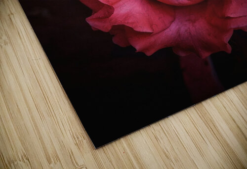Red-Orange Rose rizu_designs puzzle