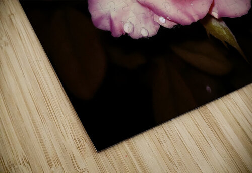 Satin Rose rizu_designs puzzle