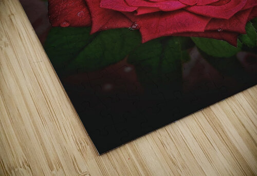 Rainy Drops Red Rose rizu_designs puzzle