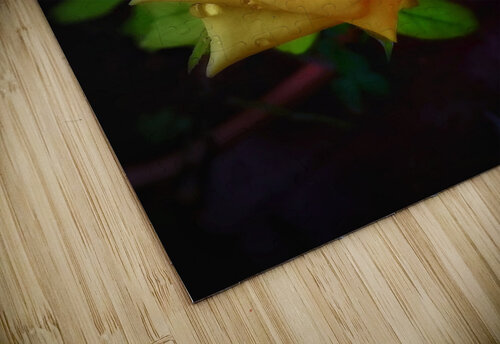 Beautiful Yellow Rose rizu_designs puzzle