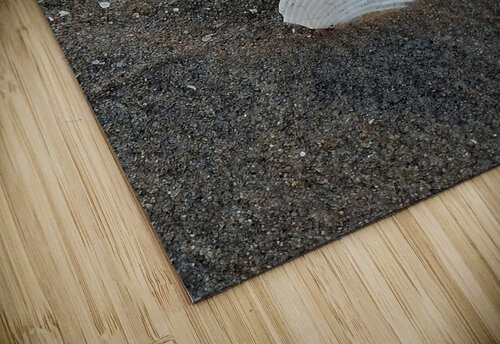 Shell in Sea Shore rizu_designs puzzle