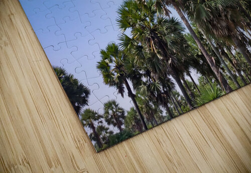 Palm Tree rizu_designs puzzle