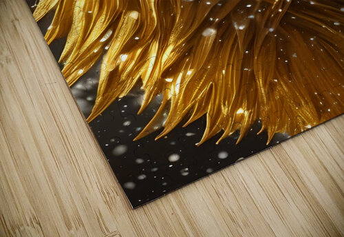 Roaring Majesty rizu_designs puzzle