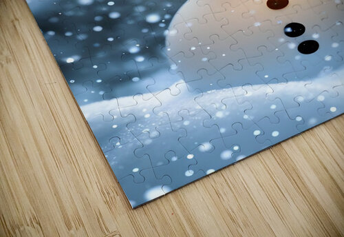 Snowman Magic rizu_designs puzzle