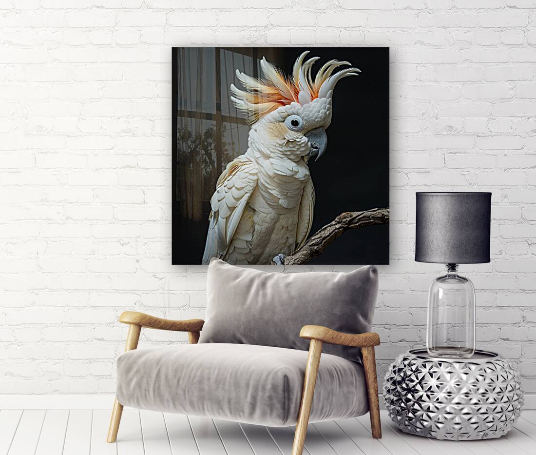 Cacatua Bird Reproduction