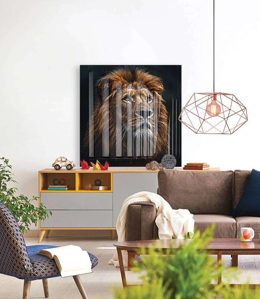 Safari King Reproduction