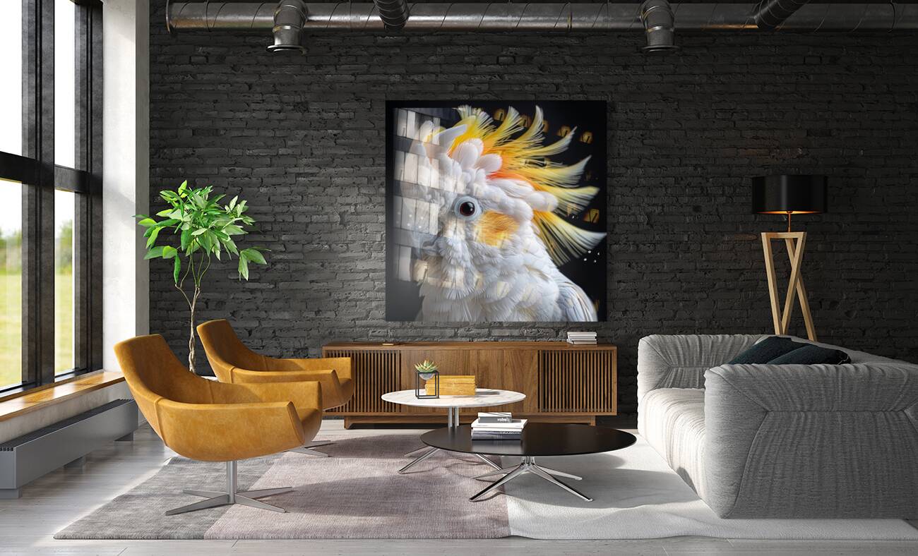 Sulphur Crested cockatoo Reproduction