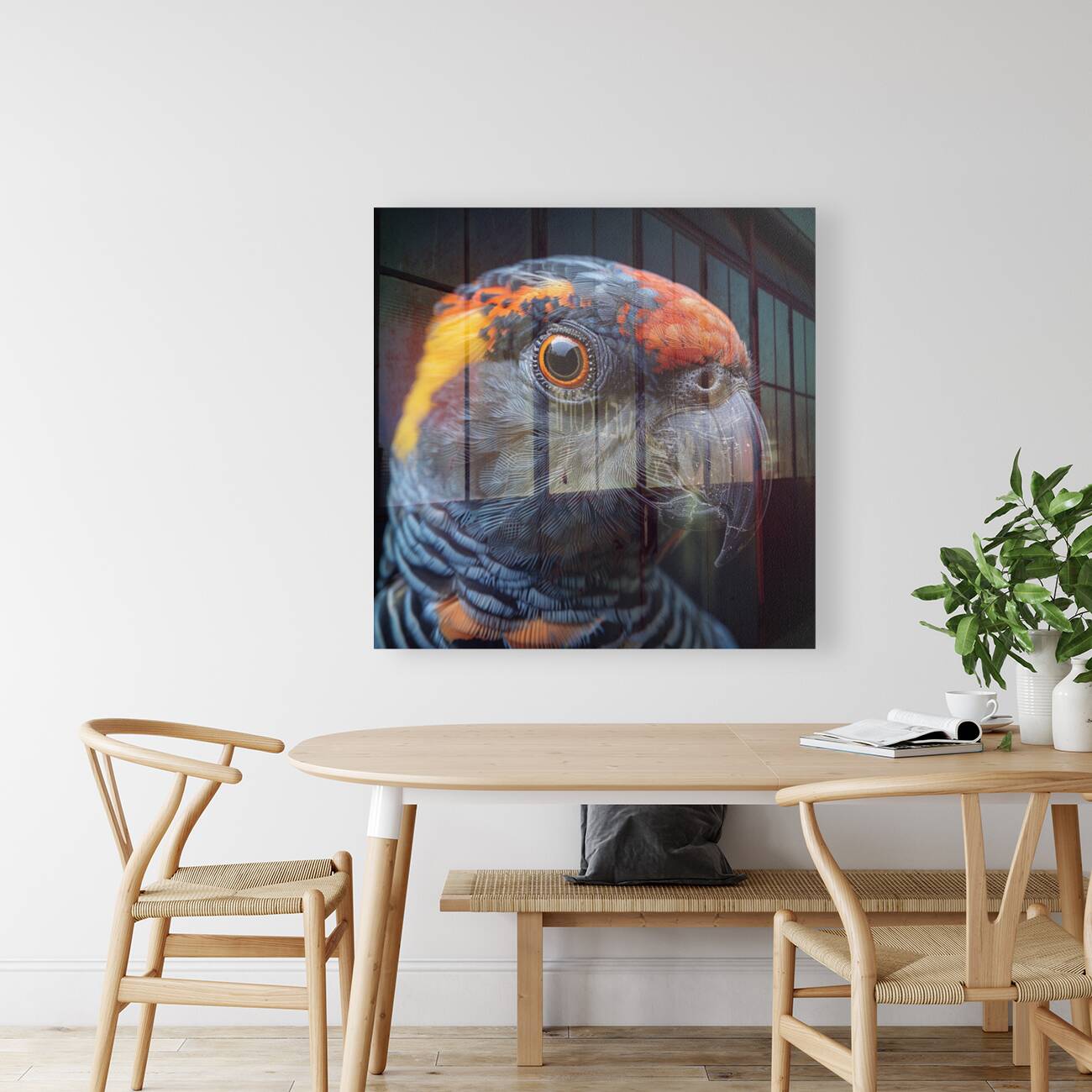 Parrot Beak Reproduction