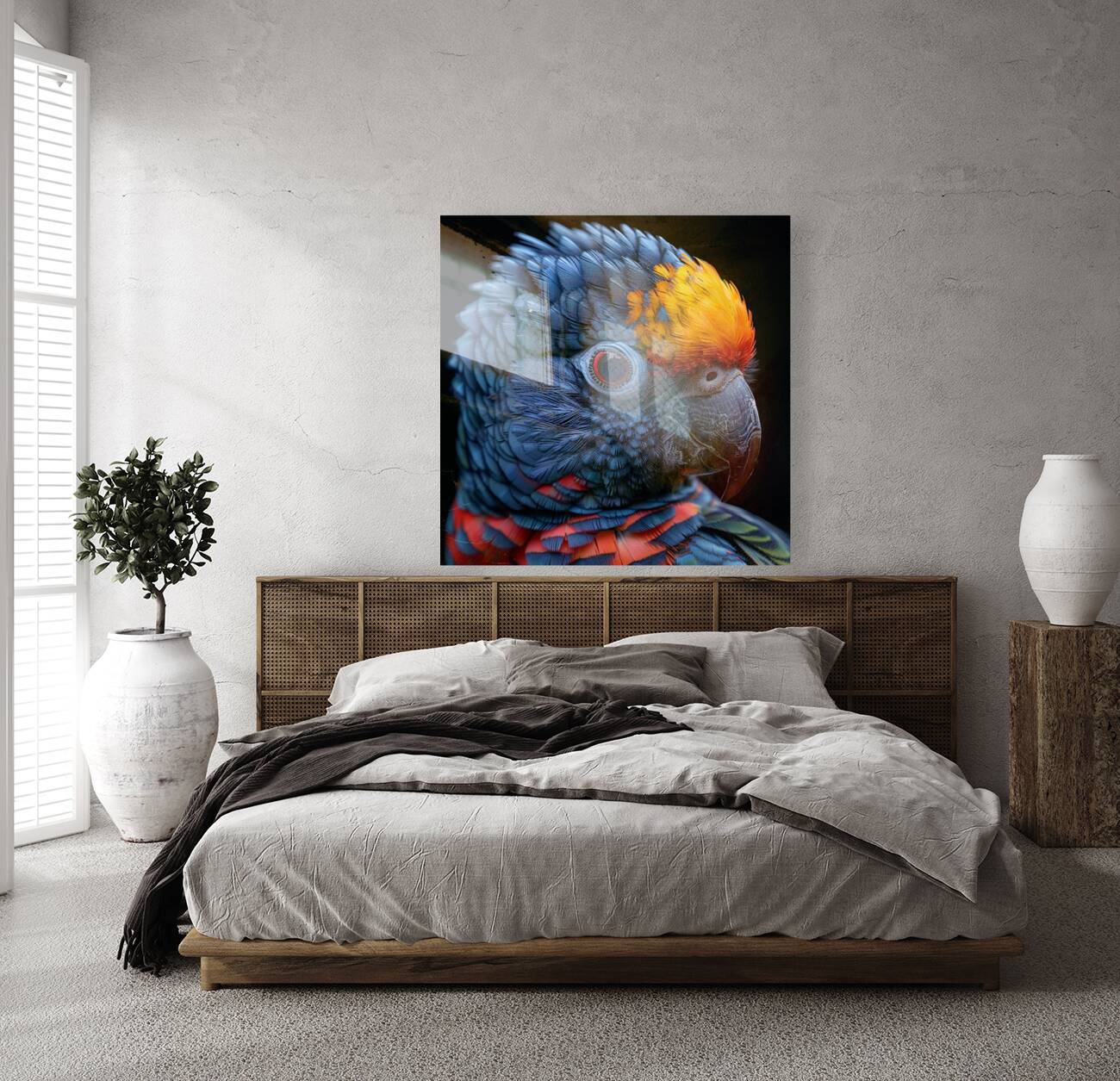 Red Collared Lorikeet Reproduction