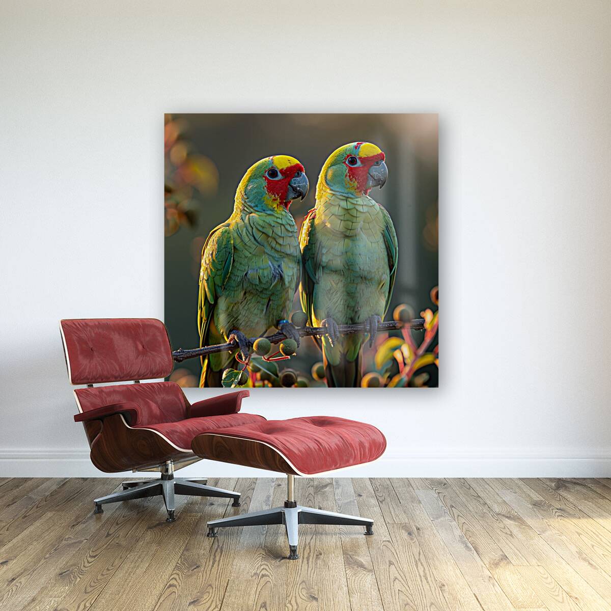 Lovely Parrots Reproduction