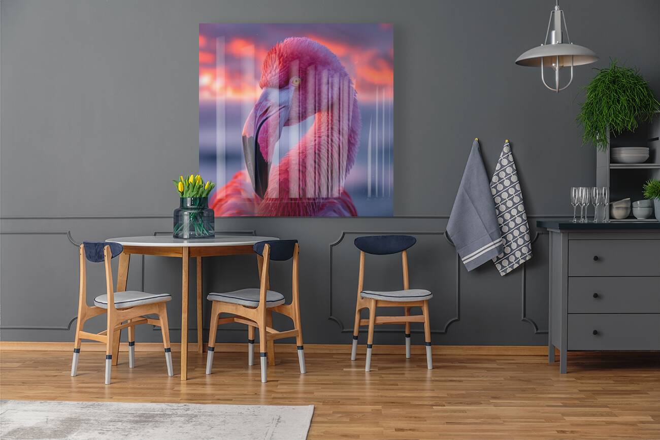 Tropical Flamingo Reproduction