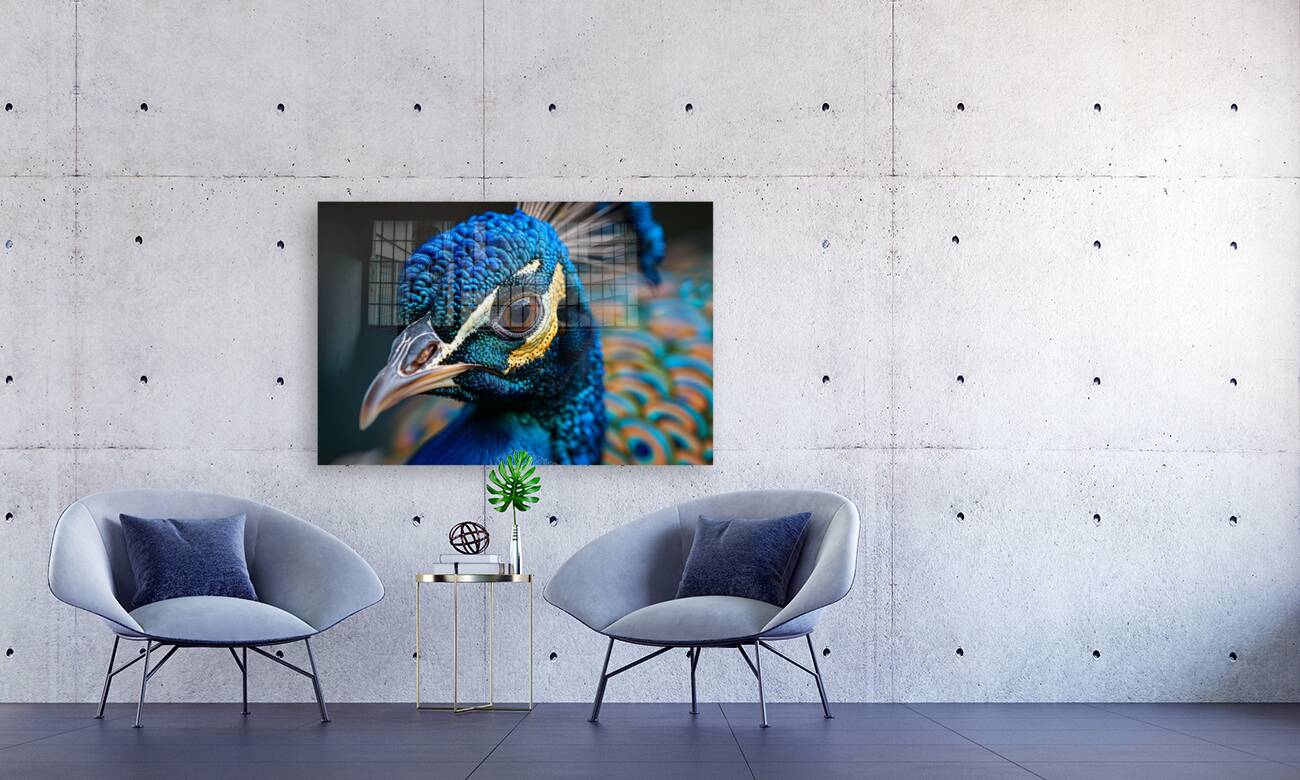 Gorgeous Peacock Reproduction
