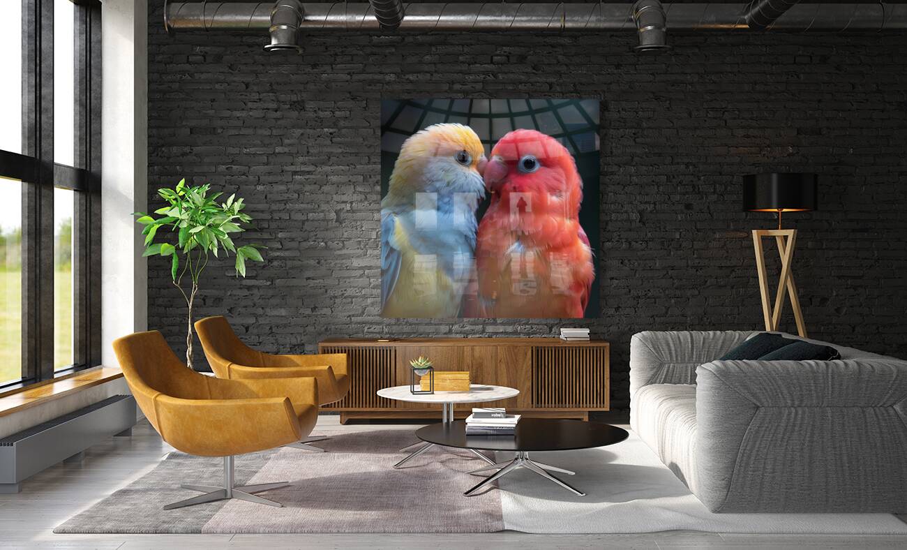 Sweet Lovebird Reproduction