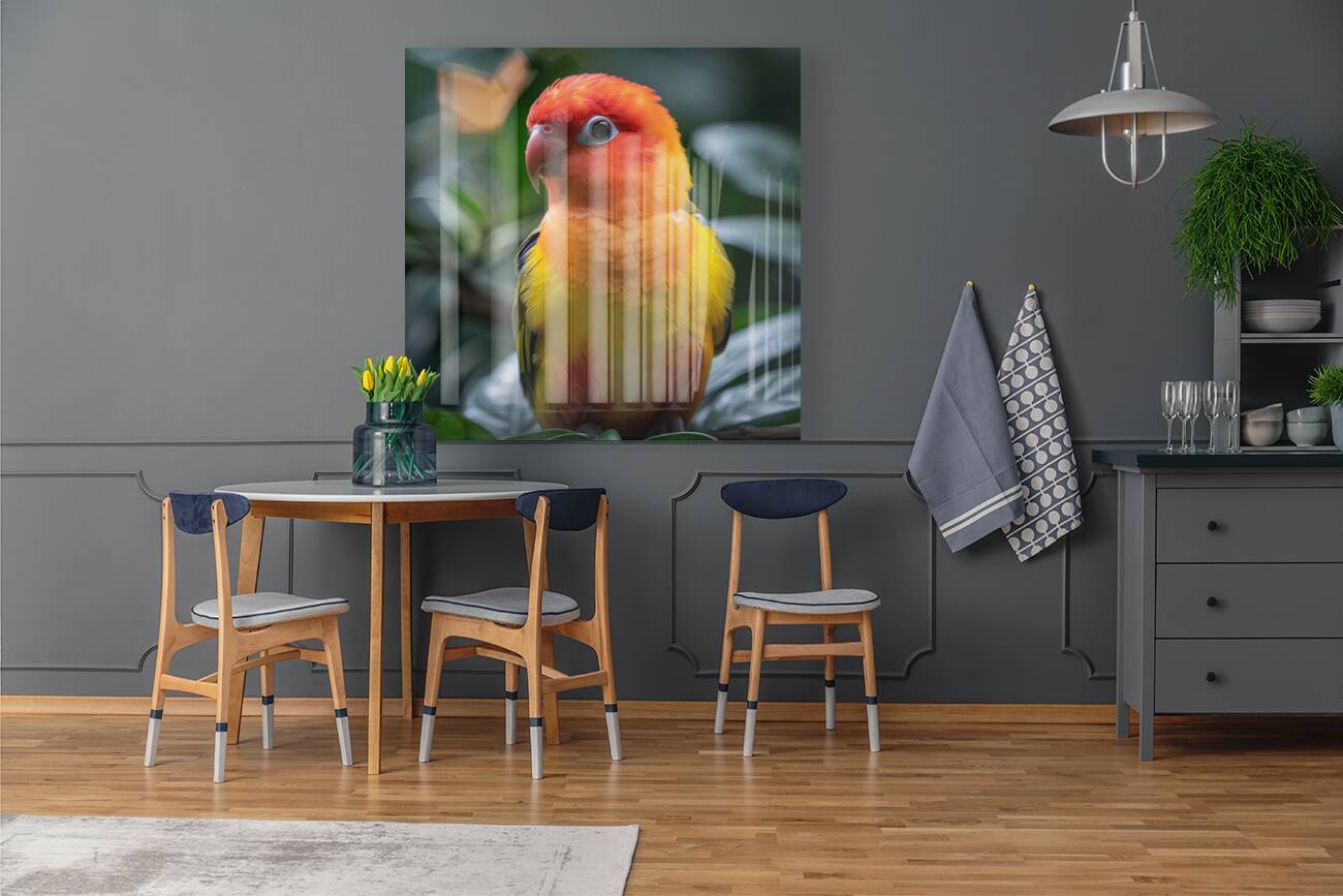 Yellow Lovebird Reproduction