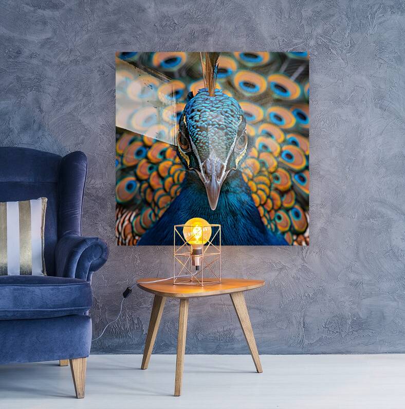 Captivating Peacock Reproduction