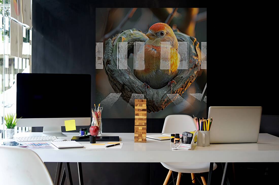 Soulful Bird Reproduction