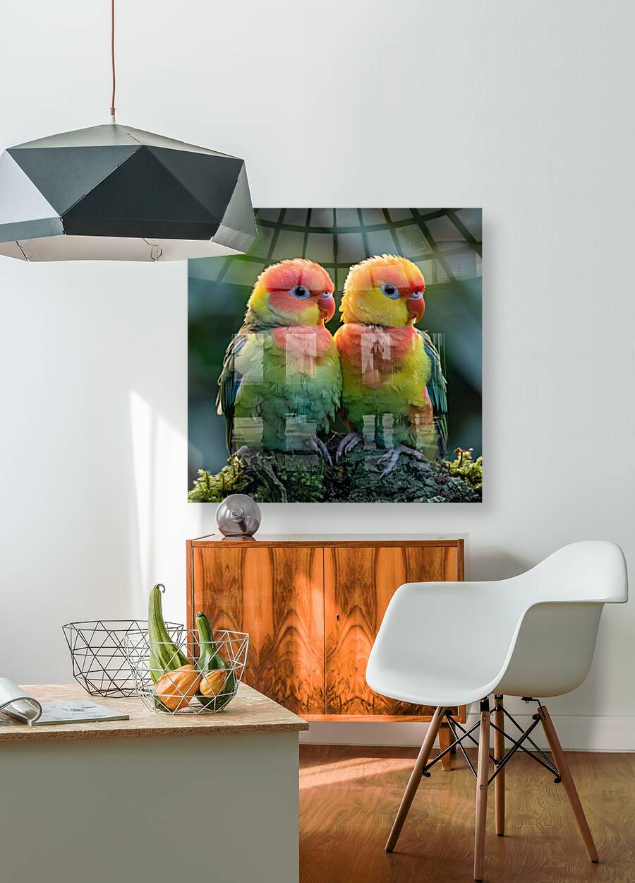 Affectionate Pair Reproduction