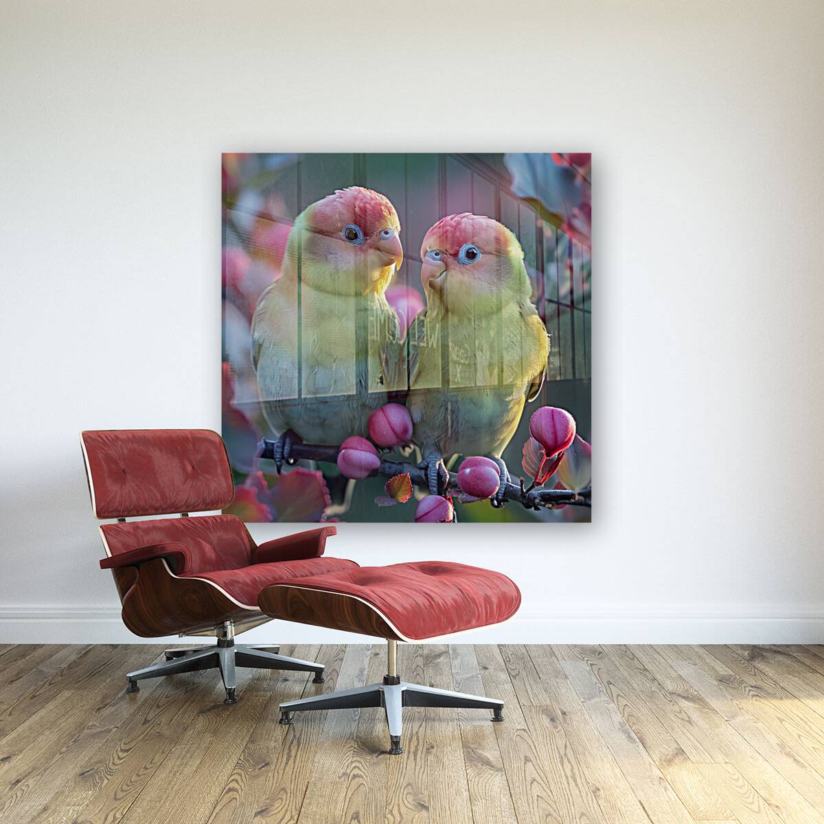 Love Birds Reproduction