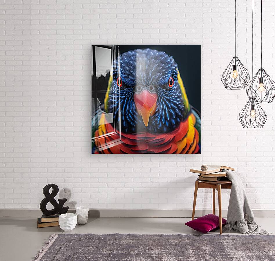 Lorikeet Reproduction