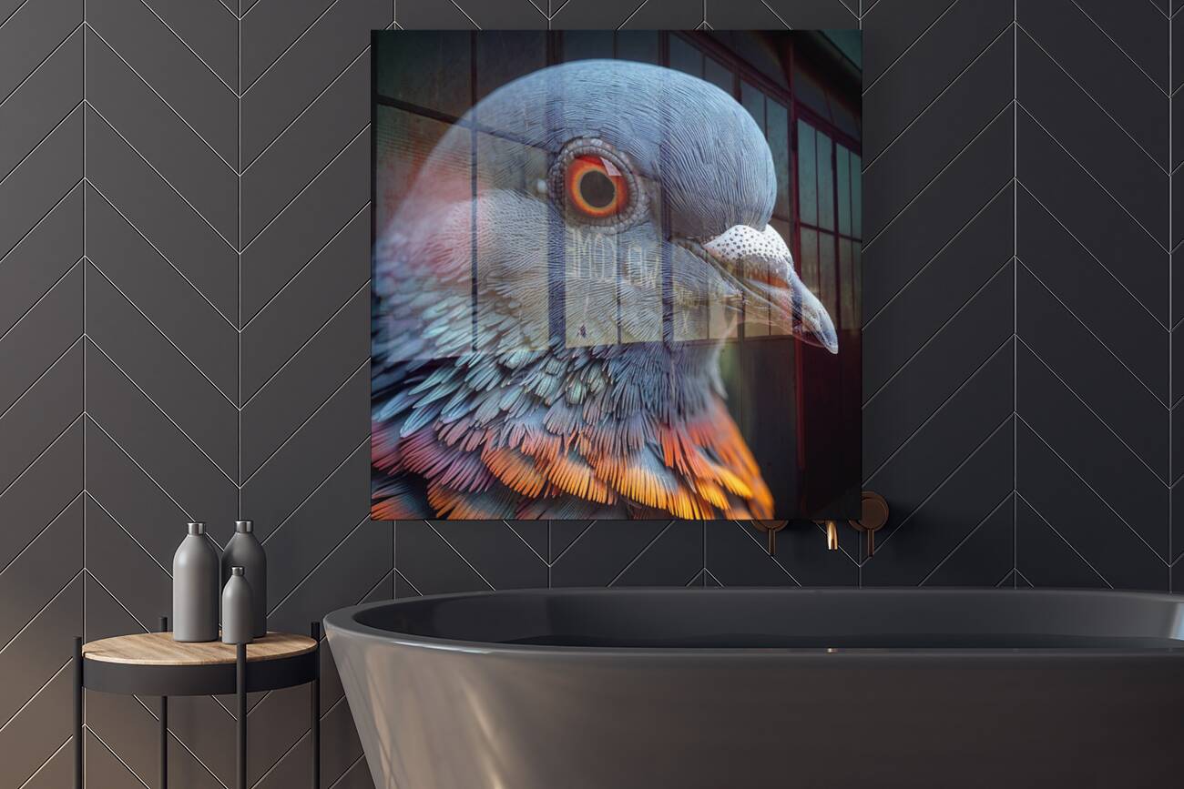 Pigeon Eye Reproduction