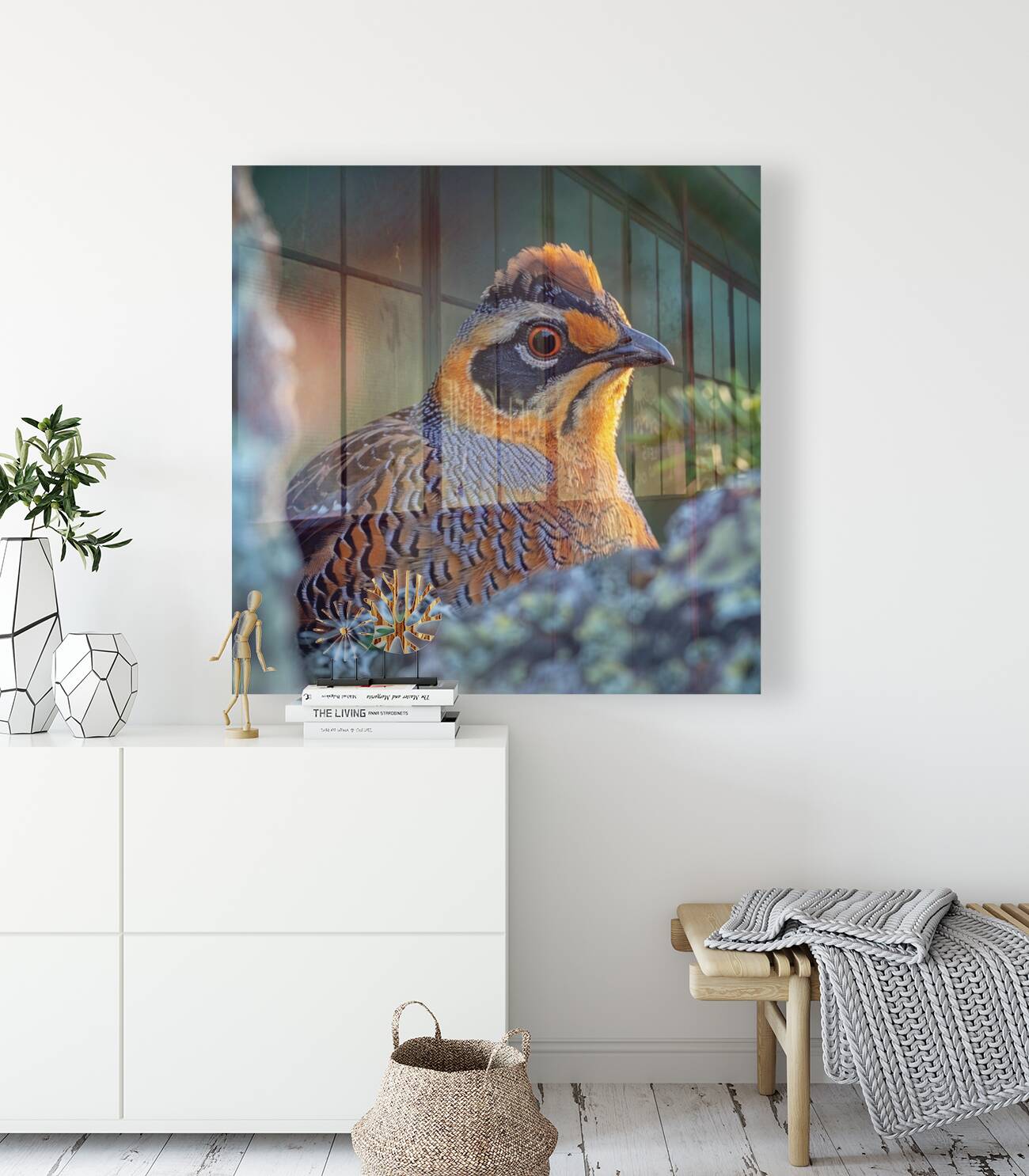 Charm Quail Bird Reproduction
