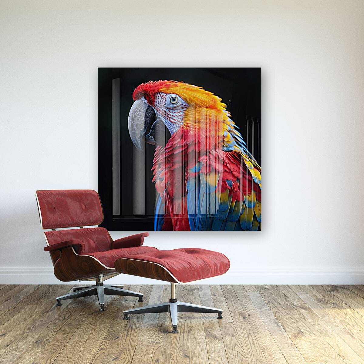 Graceful Macaw Reproduction