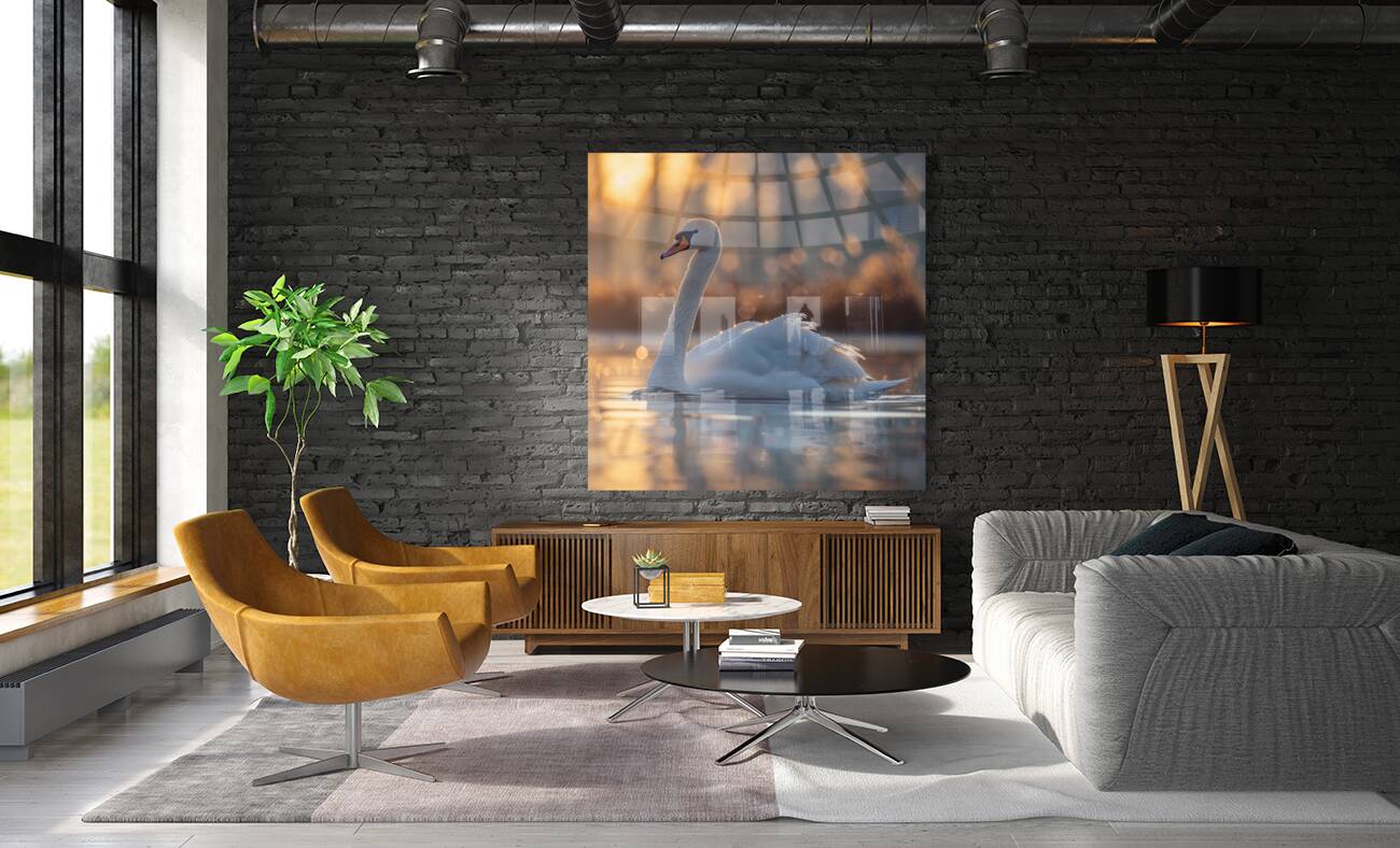 Reflective Swan Reproduction