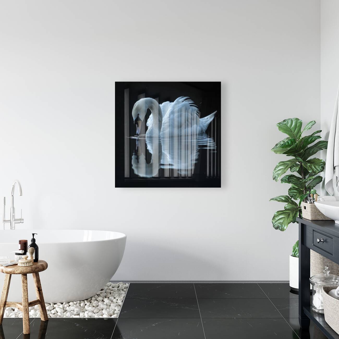 Serene Swan Reproduction