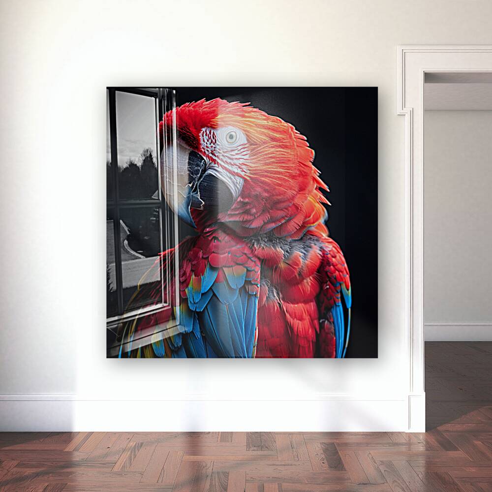 Graceful Macaw Reproduction