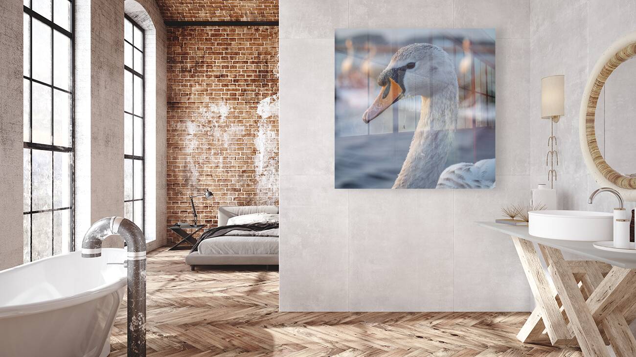 Heavenly Swan Reproduction