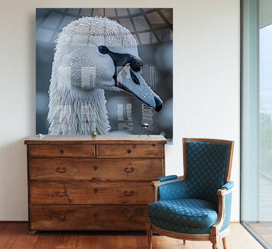 Ethereal Swan Reproduction