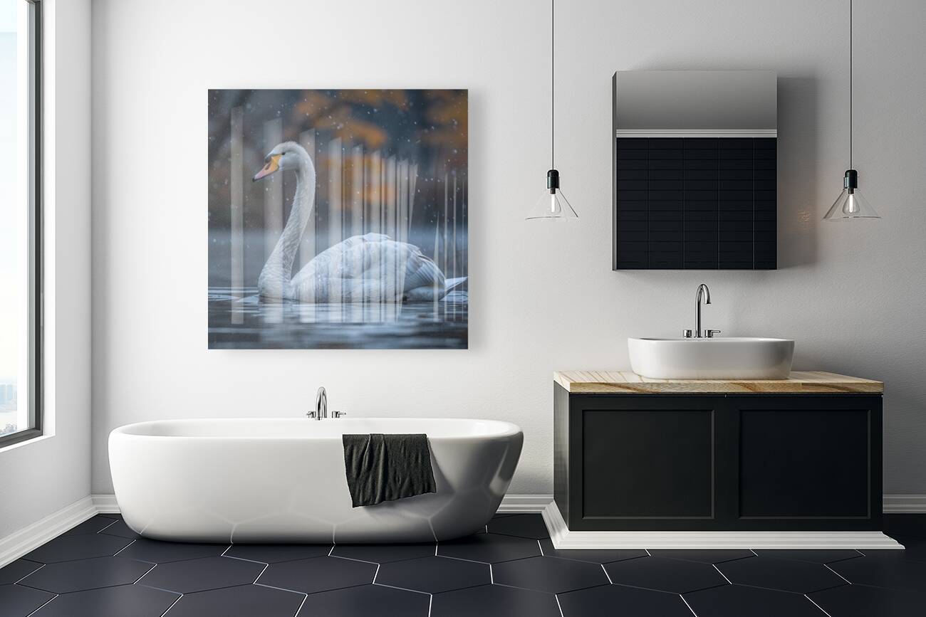 Alluring Swan Reproduction