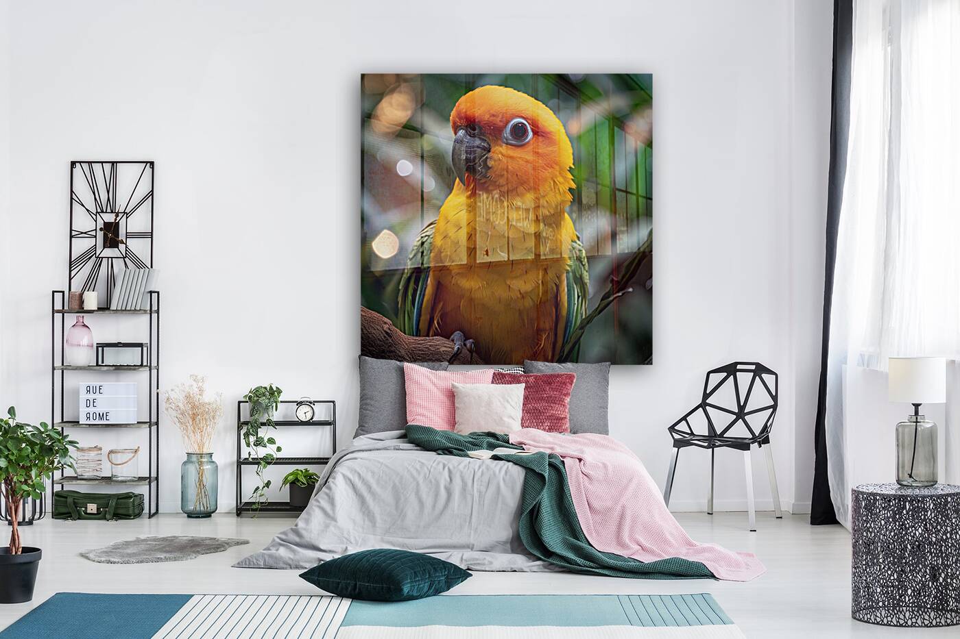 Cute Conure Bird Reproduction