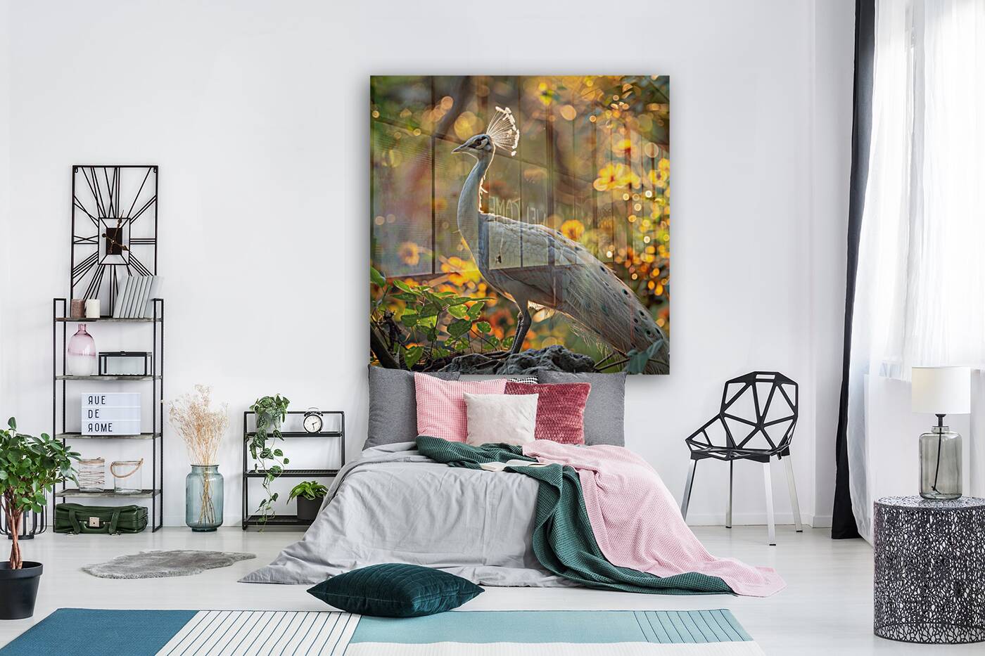 White Peacock Reproduction