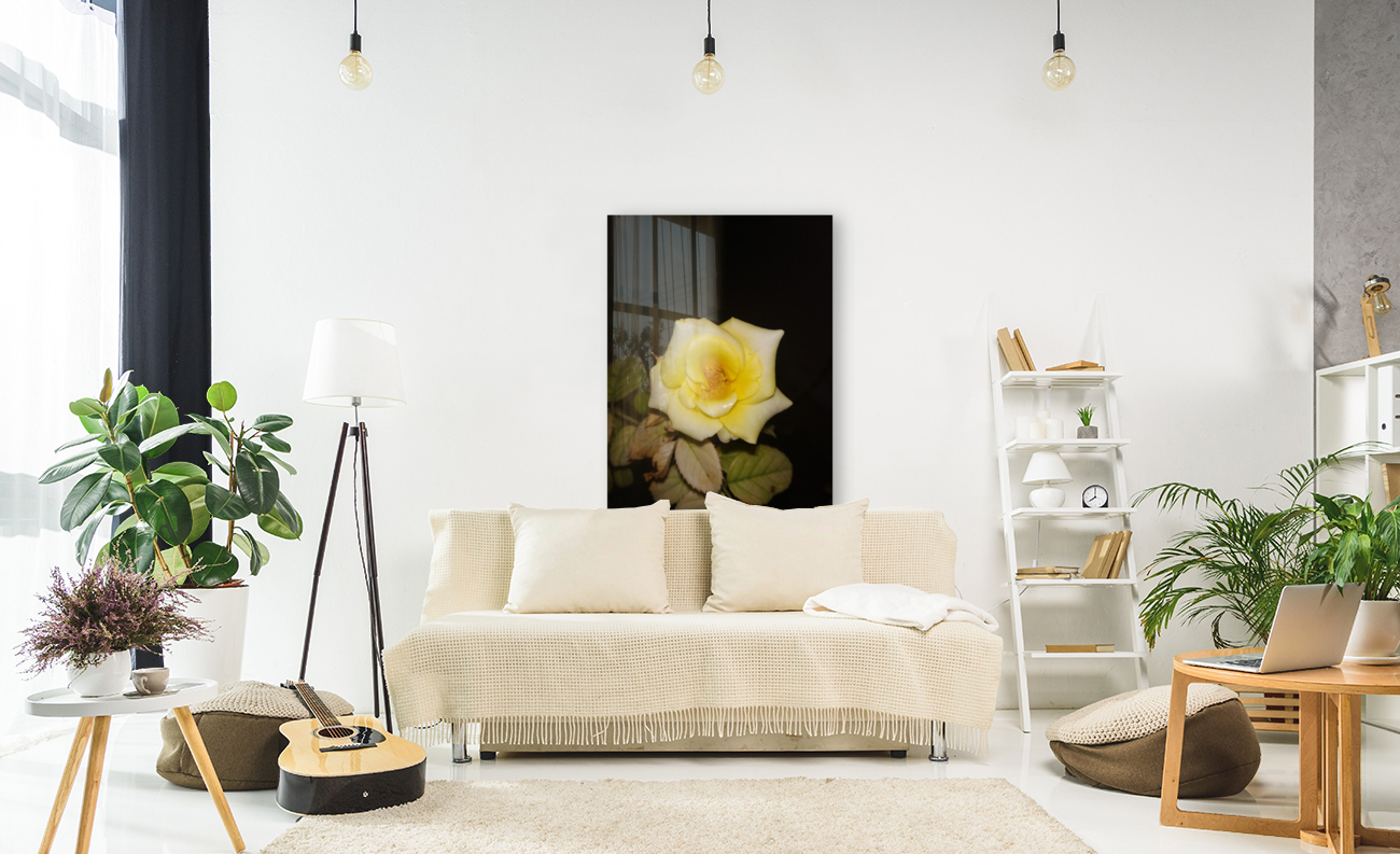 YELLOW ROSE Reproduction