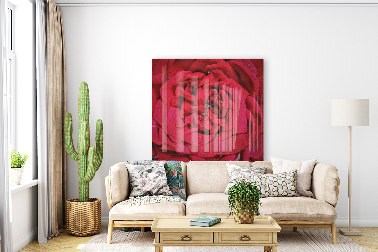 RED ROSE    Reproduction