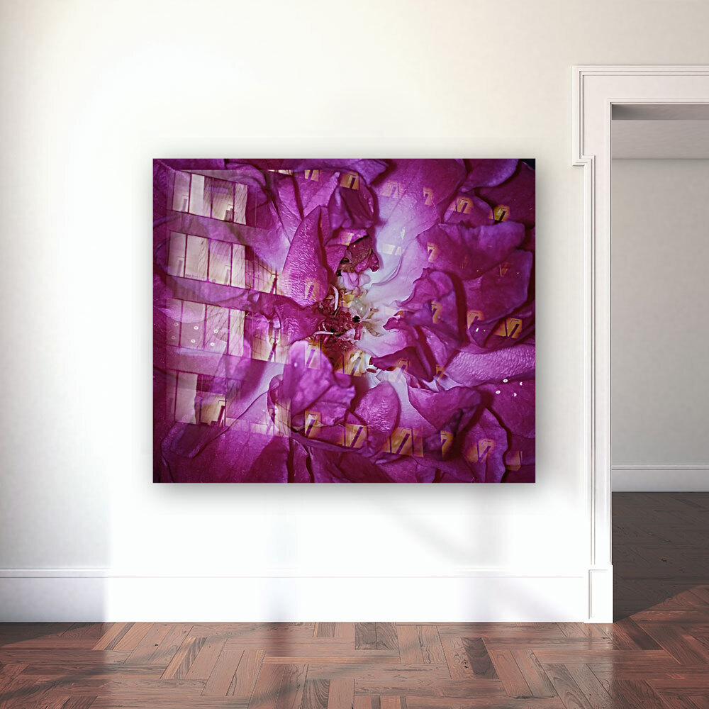 Beautiful Rose   Reproduction