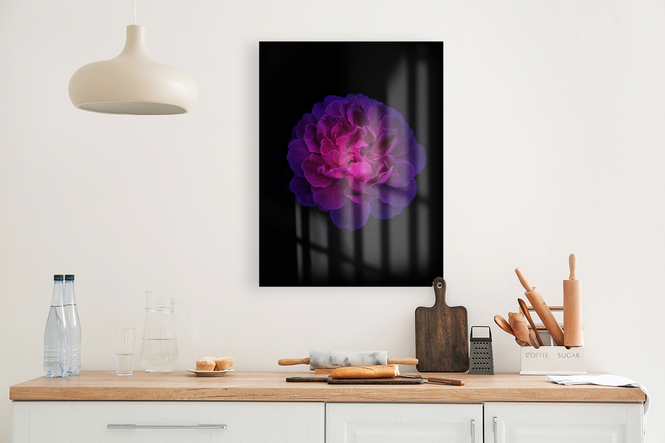 Shining Rose Reproduction